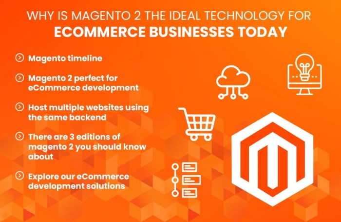 Why Magento? Best Ecommerce Platform