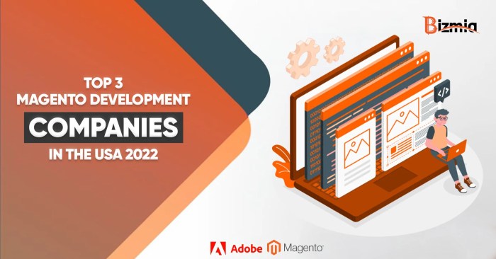 Top 3 Magento Development Companies in The USA 2023
