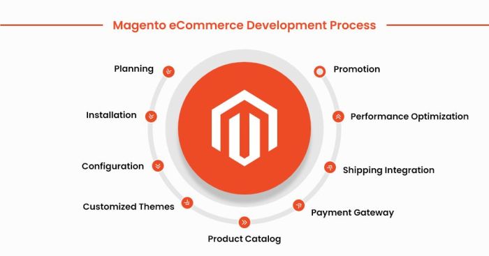 Magento eCommerce Development: Build Online Store in 2024