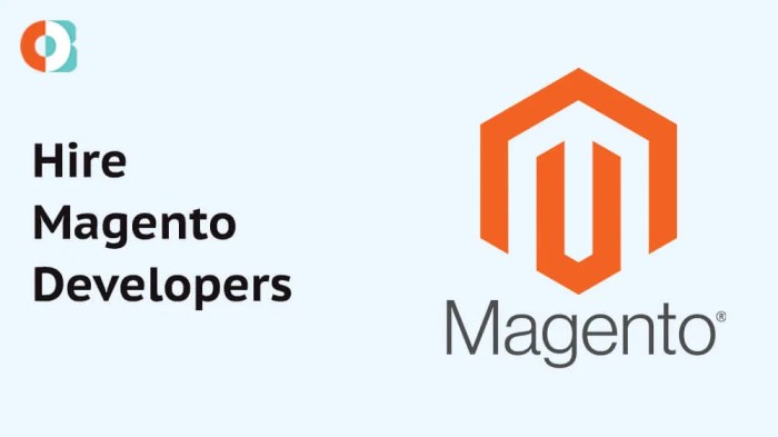 17 Best Platforms To Hire A+ Magento 2 Developers In 2025