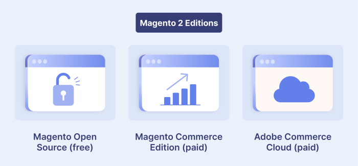 Magento Enterprise Costs:Features and Optimization Guide